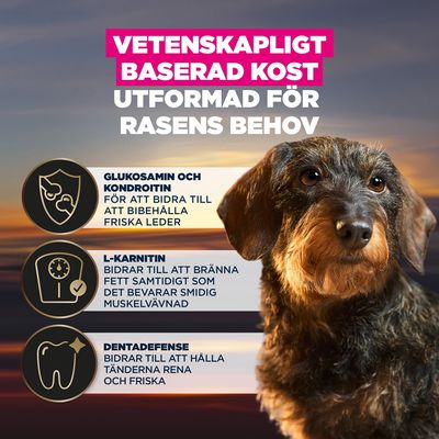 Glukosamin och kondroitin för friska leder, L-karnitin för fettförbränning och bevarande av muskelmassa, Dentadefense för rena tänder. Vetenskapligt baserad näring anpassad för rasens behov.