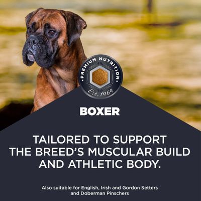 Eukanuba Adult Breed Care Specific Boxer