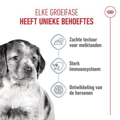 Royal Canin Medium Puppy Hondenvoer in Saus
