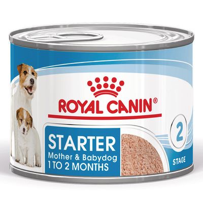 Royal Canin Starter Mousse Mother & Babydog Hondenvoer