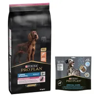 14 kg PURINA PRO PLAN Adult + passender Snack gratis! - Large Athletic Sensitive Skin Lachs + Dental Care für große Hunde 426 g