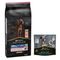 PURINA PRO PLAN 12 / 14 kg + friandises Dental Care 345 g ou 426 g offertes ! Large Athletic Adult Sensitive Skin saumon (14 kg) + Dental Care pour grand chien (25-40 kg)(426 g)