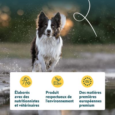 Développé avec des nutritionnistes et des vétérinaires, produit respectueux de l'environnement, matières premières de qualité supérieure provenant d'Europe.