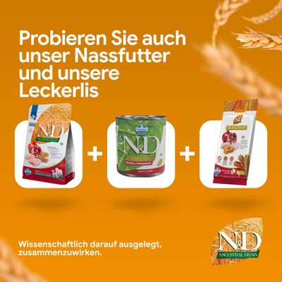 Probieren Sie auch unser Nassfutter und unsere Leckerlis. Wissenschaftlich darauf ausgelegt, zusammenzuwirken. Abgebildet: N&D Trockenfutter, Nassfutter, Dental Treat.