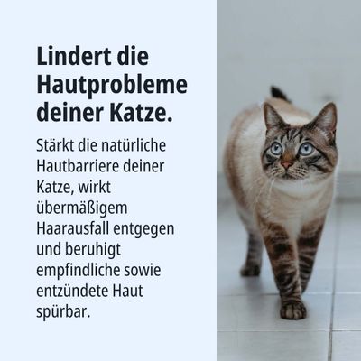 Lindert Hautprobleme deiner Katze, stärkt die natürliche Hautbarriere, wirkt gegen übermäßigen Haarausfall und beruhigt empfindliche sowie entzündete Haut spürbar.