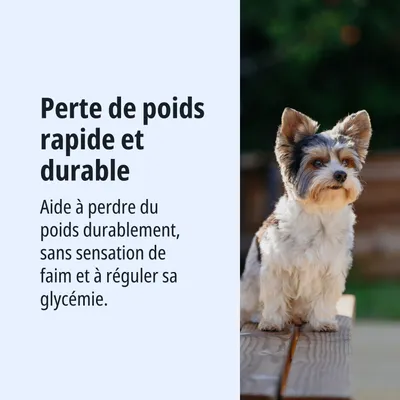 Perte de poids rapide et durable. Aide à perdre du poids de façon durable, sans sensation de faim, et régule le taux de sucre dans le sang.