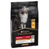 PURINA PRO PLAN Medium Adult Everyday Nutrition 7 kg