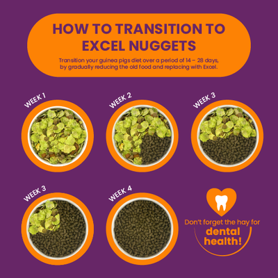 Transition to Excel Nuggets over 4 weeks: Gradually replace old food with Excel. Note: Don’t forget hay for dental health.