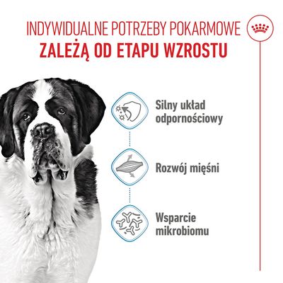 Grafika z tekstem: Silny układ odpornościowy, Rozwój mięśni, Wsparcie mikrobiomu. Nagłówek: Indywidualne potrzeby żywieniowe zależą od etapu wzrostu.