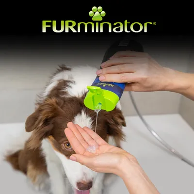 FURminator шампоан, изсипан в ръката, куче на заден план. Видимо приложение на продукта за грижа за козината.