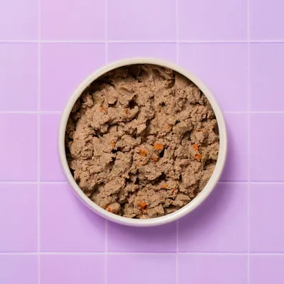 Pooch and Mutt Health & Digestion Wet Dog Food - 12 x 150g