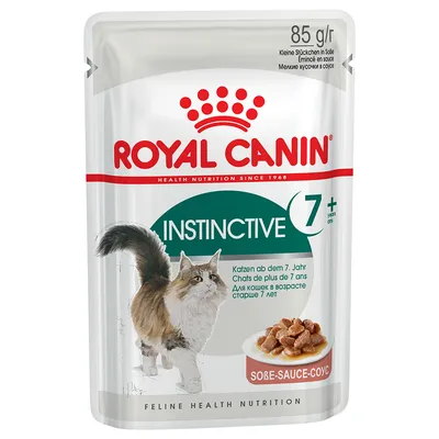 ROYAL CANIN Instinctive 7+ saszetka 85 g, kawałki w sosie, dla kotów od 7. roku życia. Widoczny kot i porcja karmy na talerzyku.