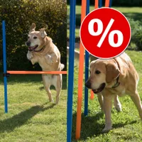 Sparset! Agility Hürde + Slalom-Stangen - Hürde + 12 Stangen