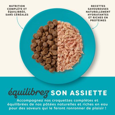 Assiette avec aliments secs et humides. À gauche : alimentation complète et équilibrée, sans céréales. À droite : recettes savoureuses, naturellement hydratantes et riches en protéines.