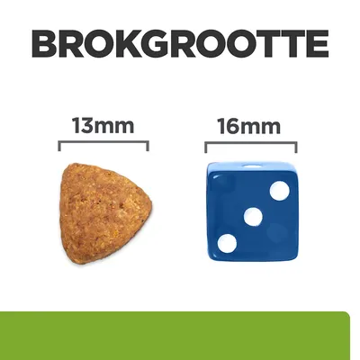 Brokformaat: brok van 13 mm naast een dobbelsteen van 16 mm ter vergelijking. Tekst: 'BROKGROOTTE', '13mm', '16mm'.