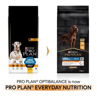 PURINA PRO PLAN Large Athletic Adult Everyday Nutrition