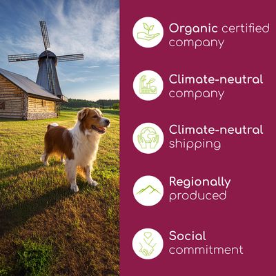 Wolfsbacher Natur Anti-Hairball Paste