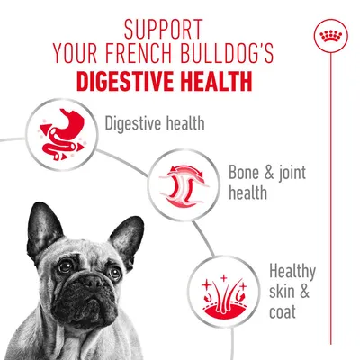 Royal Canin French Bulldog Loaf - dog wet food - 12 x 85g