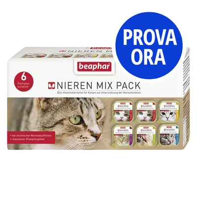 beaphar Nieren Mix Pack, 6 vaschette per gatti. Testo visibile: 'PROVA ORA', 'bei chronischer Niereninsuffizienz', 'reduzierter Phosphorgehalt'. Immagine di un gatto e delle confezioni.
