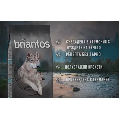 briantos. Създадена в хармония с нуждите на кучето, рецепта без зърно, полувлажни крокети, произведена в Германия.