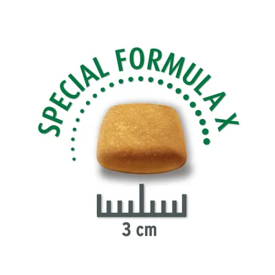 Kroketstorlek 3 cm med Special Formula X, fyrkantig form.