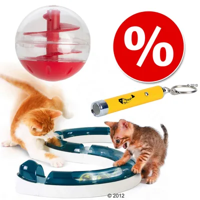 Kissan leluja: punavalkoinen pallo, keltainen Training Toy -laservalo avaimenperällä, sinivalkoinen rata ja kaksi kissaa leikkimässä. Punainen alennusprosenttimerkki.