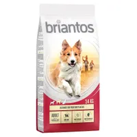 Briantos Adult Pollo & Riso Crocchette per cane - 2 x 14 kg