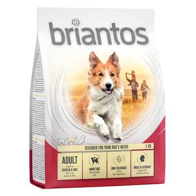Briantos Adult Chicken & Rice, 1 kg. Udviklet til din hunds behov: skinnende pels, høj tolerance, fremstillet i Tyskland. Briantos Adult Chicken & Rice, 1 kg. Udviklet til din hunds behov: skinnende pels, høj tolerance, fremstillet i Tyskland.
