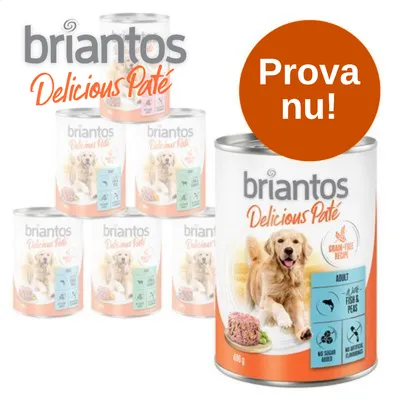 briantos Delicious Paté våtfoder för hund, burk 400 g. Text: Prova nu! Synliga ikoner: fisk, fjäderfä, ingen tillsatt socker, inga konstgjorda aromämnen. Grain-free recipe.