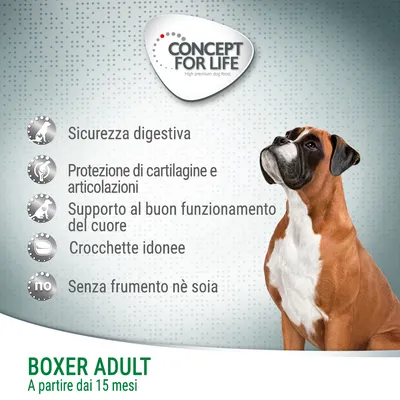 Concept for Life Boxer Adult a partire dai 15 mesi. Sicurezza digestiva, protezione di cartilagine e articolazioni, supporto al cuore, crocchette idonee, senza frumento né soia.