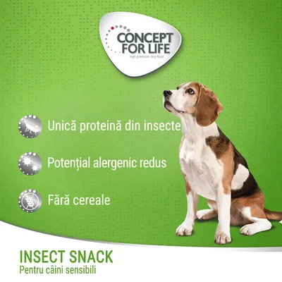 Concept for Life. Unică proteină din insecte, potențial alergenic redus, fără cereale. INSECT SNACK pentru câini sensibili. Imagine cu un câine beagle pe fundal verde.