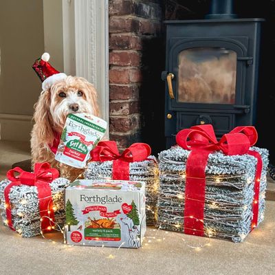 Forthglade Christmas Soft Bites - Three Bird Feast - Saver Pack: 3 x 90g