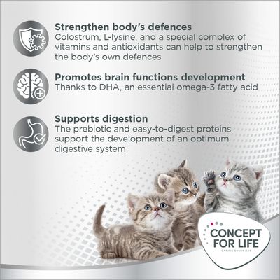 Strengthen body's defences, promotes brain functions development, supports digestion. Concept for Life caring every day. Three kittens pictured. All text in English.