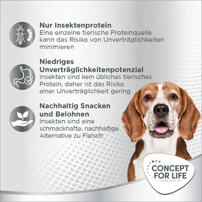 Nur Insektenprotein: minimiert Unverträglichkeiten. Niedriges Unverträglichkeitsrisiko: Insekten als tierisches Protein. Nachhaltig Snacken: schmackhafte Alternative zu Fleisch. Concept for Life.