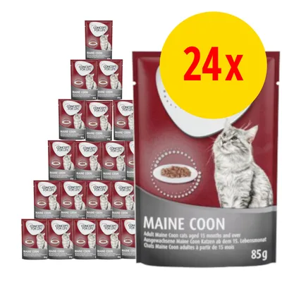 24 x Concept for Life Maine Coon vådfoder til kat, 85 g poser. Pakning viser katteillustration og tekst: 'Adult Maine Coon cats aged 15 months and over'.