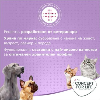 Concept for Life Mum & Young Kittens мус