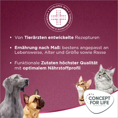 Concept for Life All Cats 10+ u želeu - Nova receptura! 3 x 3 kg