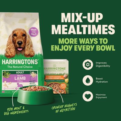 Harringtons Complete Adult Dog - Rich in Lamb & Rice - 1.7kg