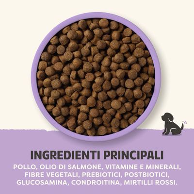 Ingredienti principali: pollo, olio di salmone, vitamine e minerali, fibre vegetali, prebiotici, postbiotici, glucosammina, condroitina, mirtillo rosso.