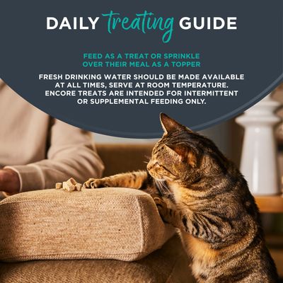 Drinking Water for Small Animals