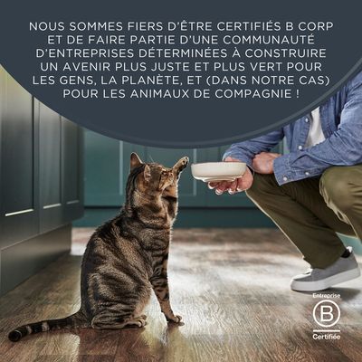 Lot Encore 48 x 70 g sachets pour chat - blanc de poulet, canard
