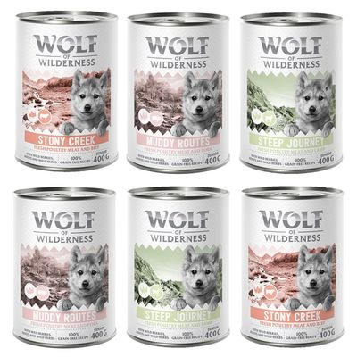 Pakiet mieszany Wolf of Wilderness JUNIOR 6 x 400 g: 2x drób z wołowiną, 2x drób z jagnięciną, 2x drób z wieprzowiną