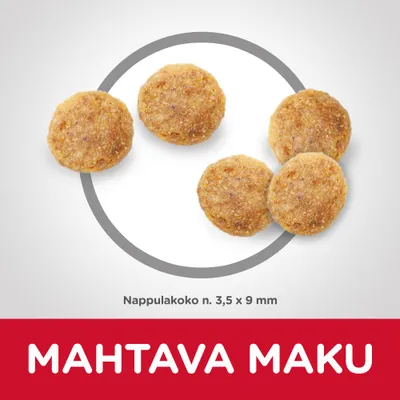 Pyöreitä koiranruokanappuloita, nappulakoko n. 3,5 × 9 mm. Teksti: MAHTAVA MAKU.