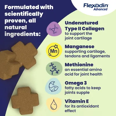 Flexadin Advanced Joint Care Supplement for Cats - 60 Chews
