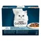 Gourmet Perle Mixed Pouches 12 x 85g Seaside Duo in Gravy