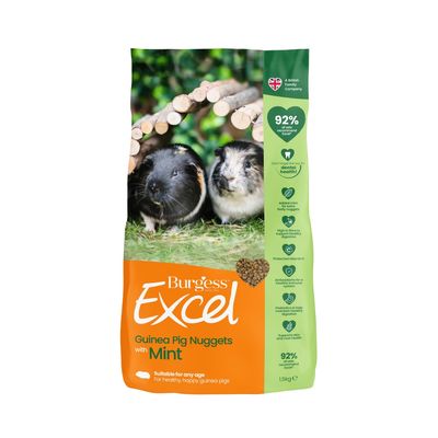 Burgess Excel Guinea Pig Nuggets with Mint, suitable for any age. Features: 92% recommend, added mint, high fibre, antioxidants, vitamin C, prebiotics, supports skin and coat health.