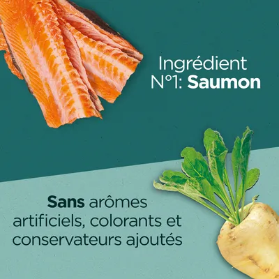 Ingrédient N°1 : Saumon. Sans arômes artificiels, colorants et conservateurs ajoutés. Image de saumon cru et d’un légume racine avec feuilles vertes.