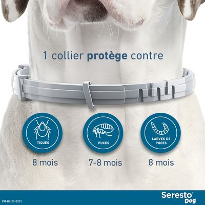 Collier antiparasitaire Seresto® pour grand chien
