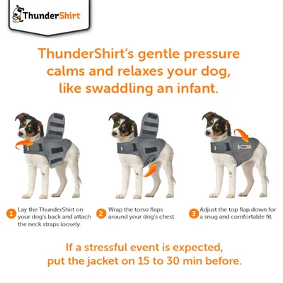 Instructions showing how to put on ThunderShirt: lay on back, attach neck straps, wrap torso flaps around chest, adjust top flap for snug fit. Use 15–30 minutes before stressful event.