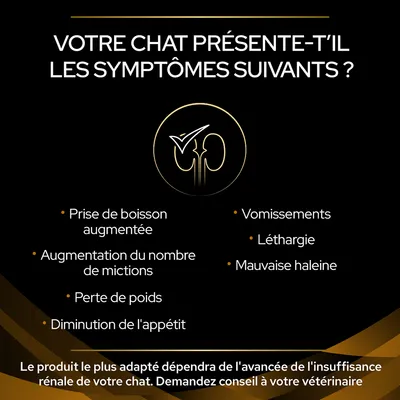 Votre chat présente-t-il les symptômes suivants ? Prise de boisson augmentée, augmentation du nombre de mictions, perte de poids, diminution de l'appétit, vomissements, léthargie, mauvaise haleine.